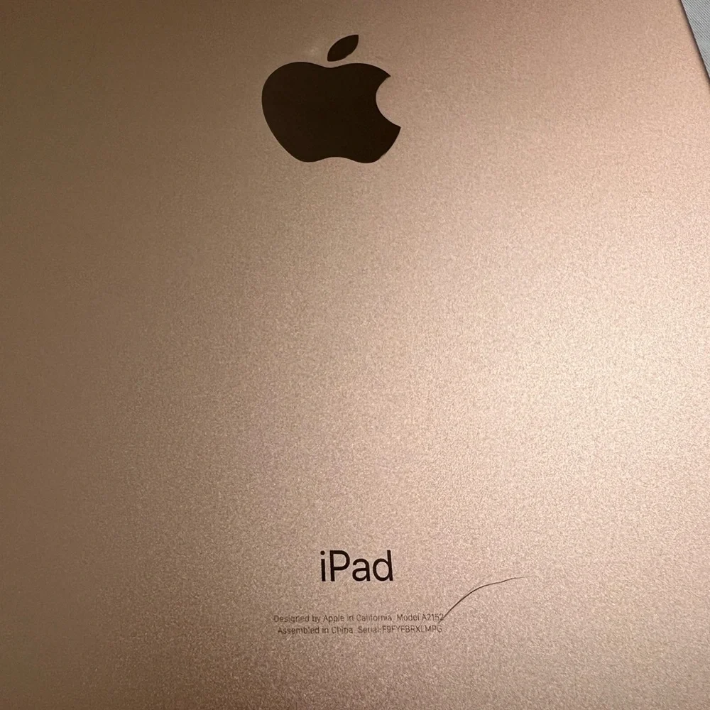 iPad Air 3, 64gb Rose Gold with Matching Leather Case